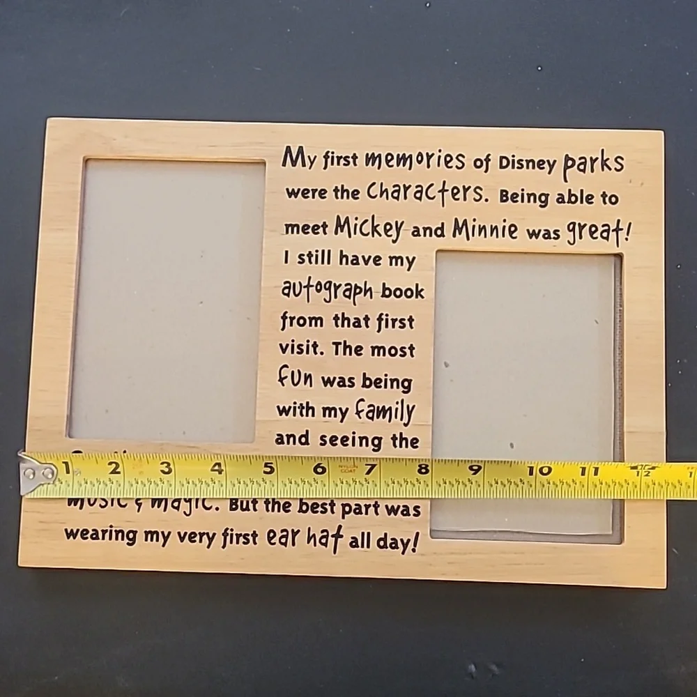Disney Memories Picture Frame